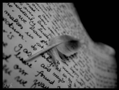 les cours